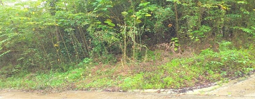 Waterfall mountain view land in Maenam Koh Samui for sale 04