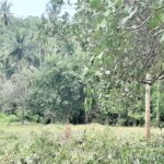 For sale flat land Bang Por - Koh Samui