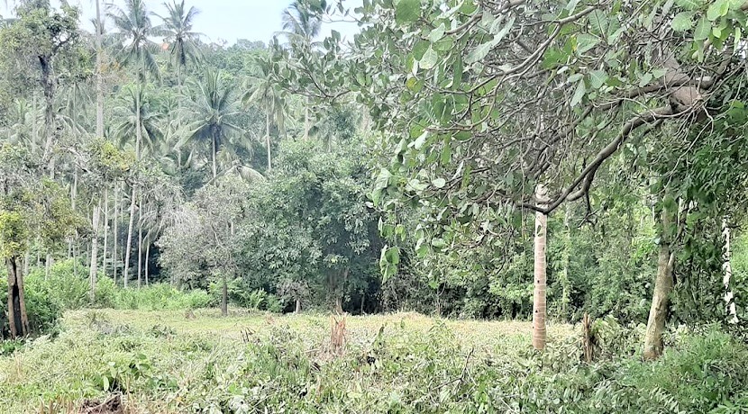 For sale flat land Bang Por