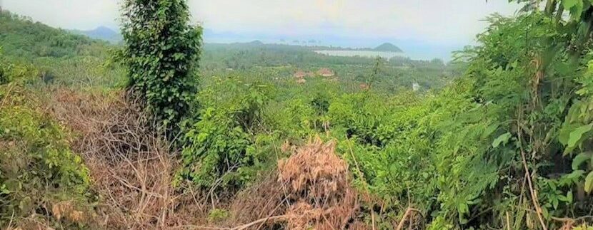 For sale sea view land Nathon in Koh Samui 08