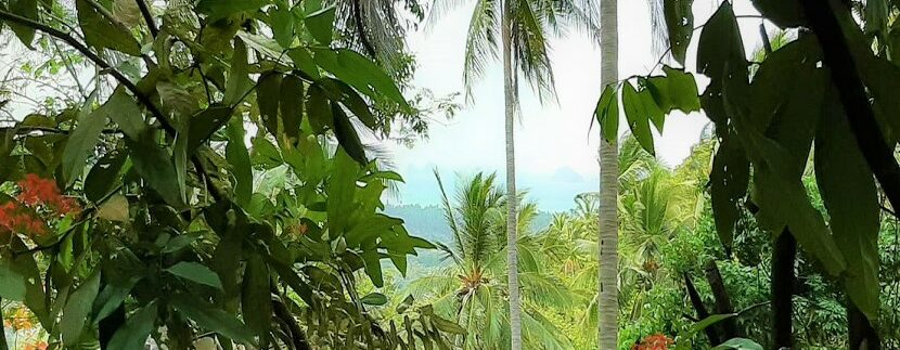 Taling Ngam sea view land for sale in Koh Samui 010