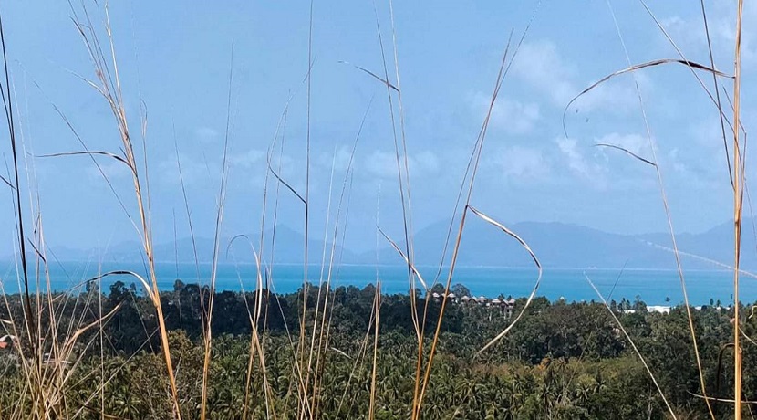 Terrain vue mer à Maenam Koh Samui à vendre