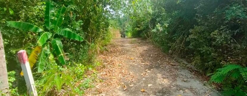 Sea view land in Maenam Koh Samui for sale 06