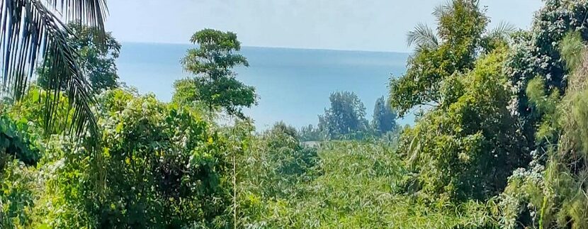 Vente terrain vue mer Lamai Koh Samui 01B