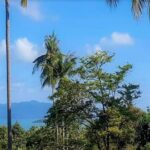 For sale Bangrak flat land in Koh Samui