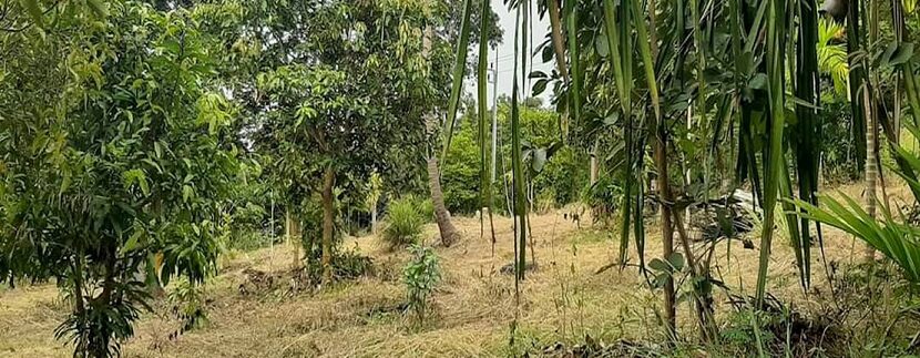 For sale Bangrak flat land in Koh Samui 05