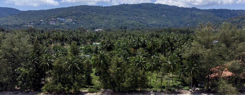 Beachfront land in Lipa Noi Koh Samui for sale 01