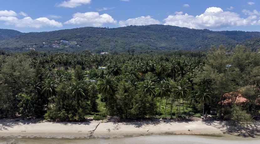 Terrain en bord de mer à Lipa Noi Koh Samui à vendre – 6.084 m²