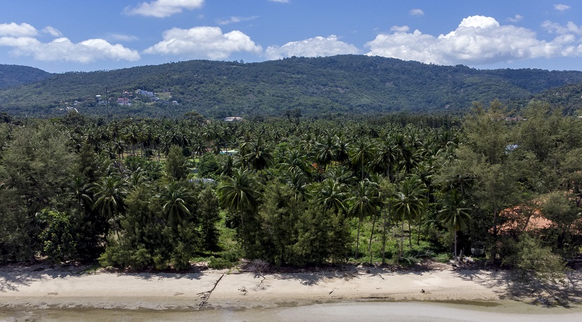 Terrain en bord de mer à Lipa Noi Koh Samui à vendre