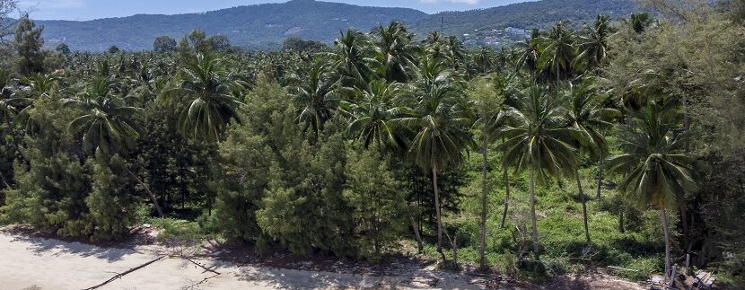 Terrain en bord de mer à Lipa Noi Koh Samui à vendre 08