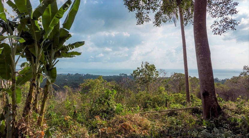 Terrain vue océan à vendre à Bang Makham Koh Samui