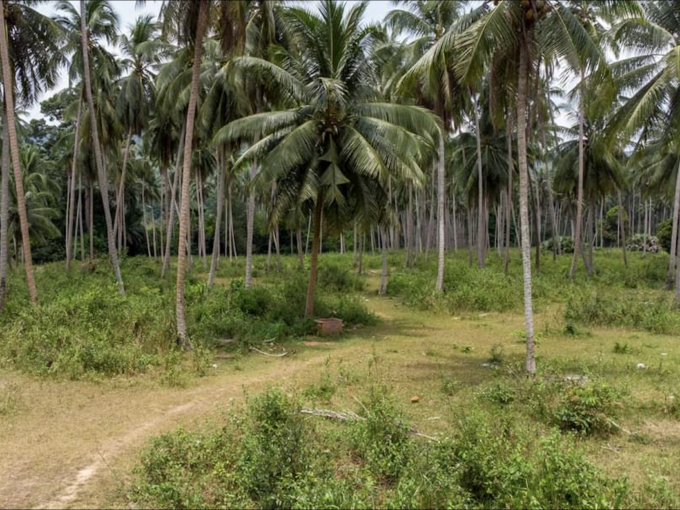 Achat immobilier à Koh Samui avec rentabilité locative élevée